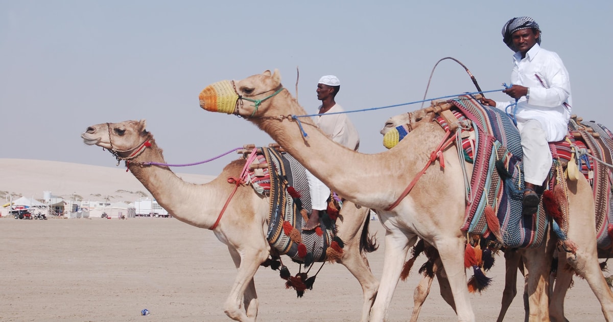 Private South Coast Tour with Camel Ride | GetYourGuide
