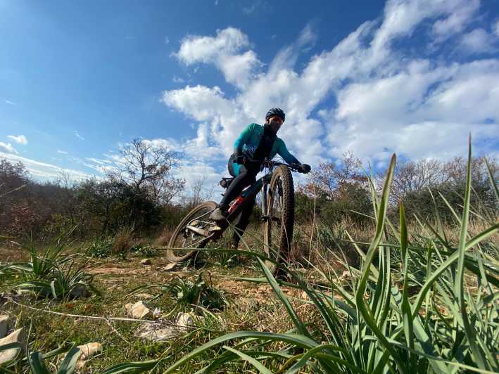 Bari: Mountain Bike Excursion to the Mercadante Forest