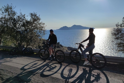 Costa Sorrentina: Vivero de Limones y Experiencia E-Bike