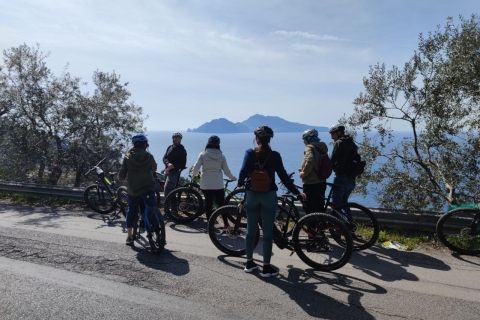 Costa Sorrentina: Vivero de Limones y Experiencia E-Bike