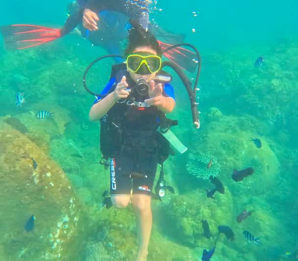 Da Nang Cham Islands Snorkeling or Diving Tour by Speedboat GetYourGuide