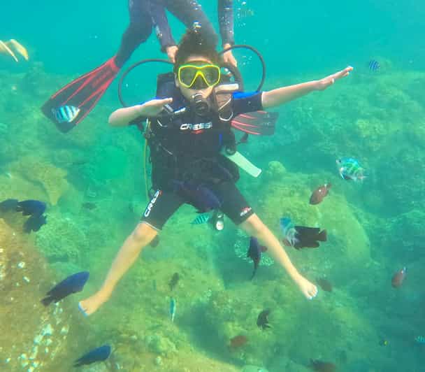 Da Nang Cham Islands Snorkeling or Diving Tour by Speedboat GetYourGuide