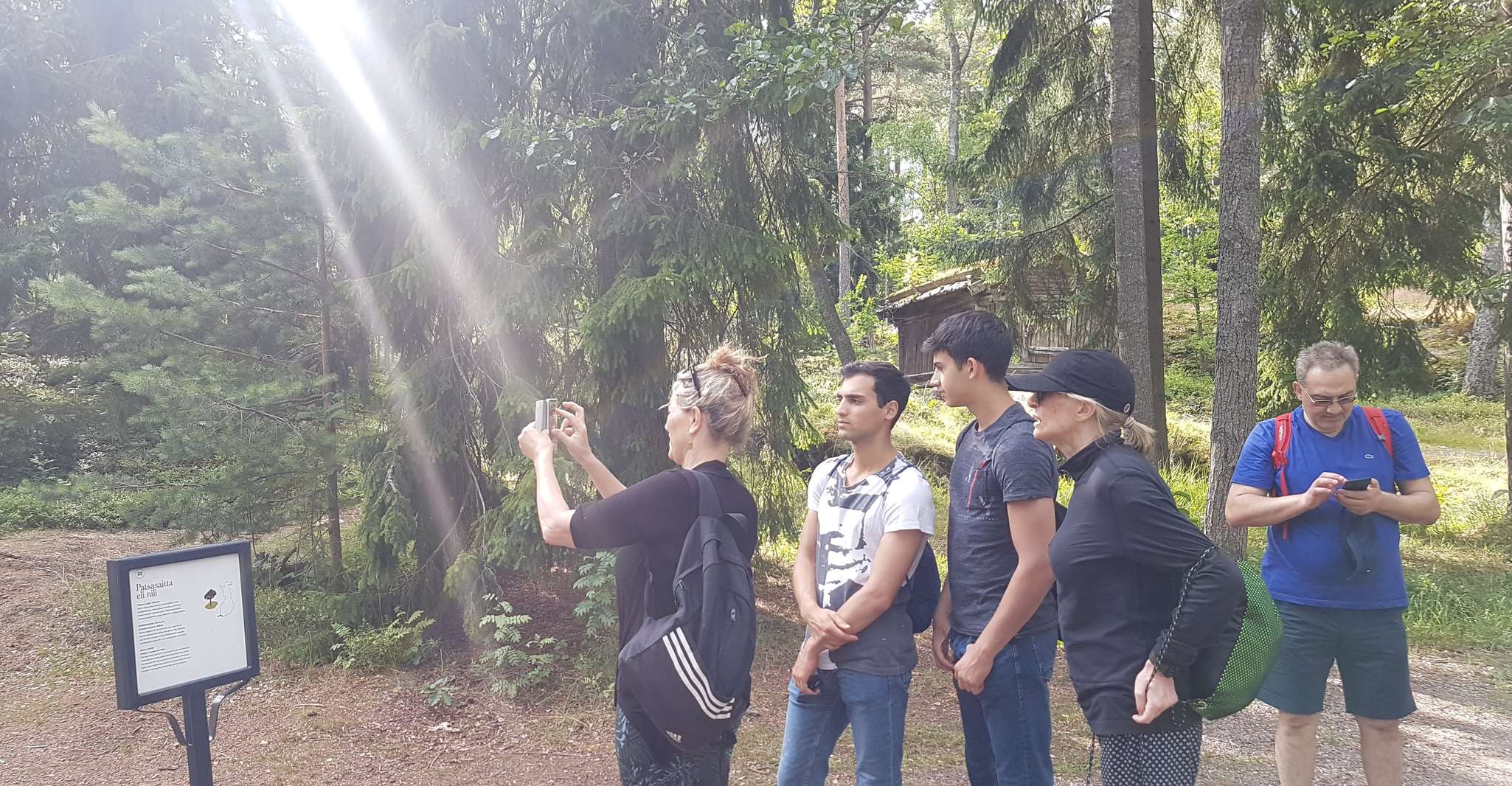 Tour in bici, barbecue, sauna, foresta, Seurasaari & Meilahti - Hizvo