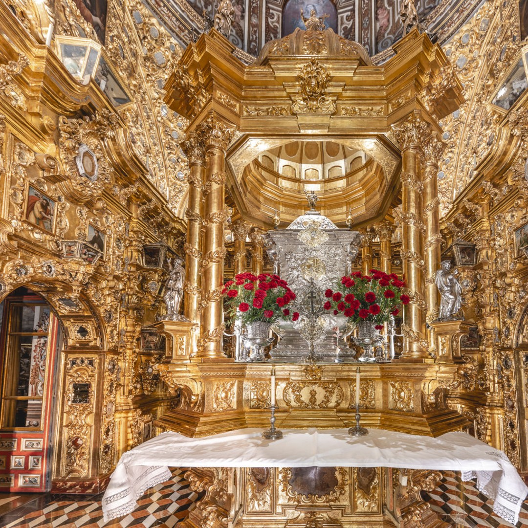 Galería de fotos para redes