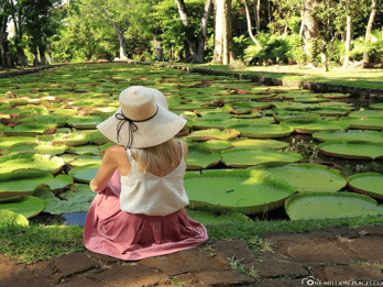 Port Louis: Northern Treasures Private Tour