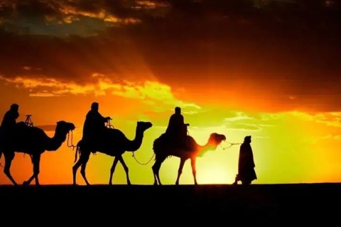 Promenade à dos de chameau dans le désert au lever du soleil et petit-déjeunerPromenade à dos de chameau dans le désert au lever du soleil et petit déjeuner