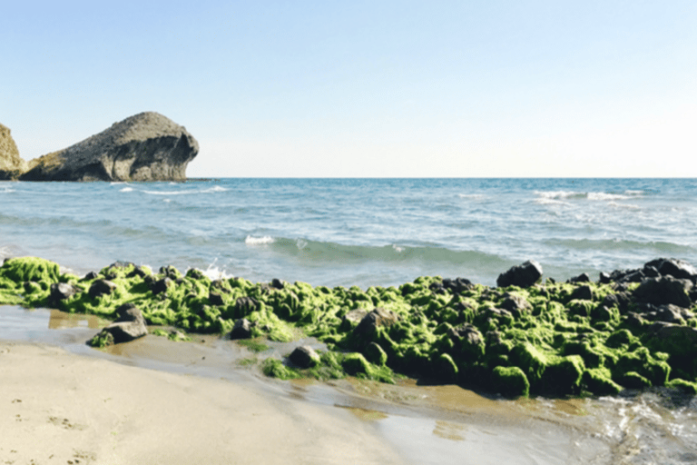 Cabo de Gata: 4x4 Tour Genoveses, Monsul och guldgruvorna
