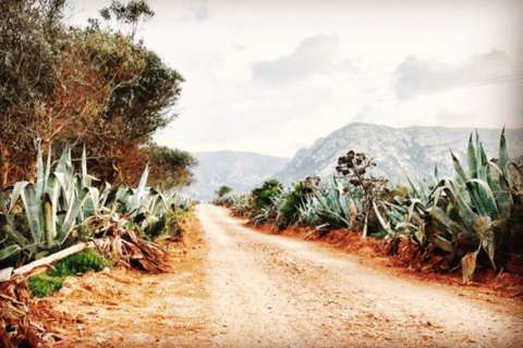 Cabo de Gata: 4x4 Tour Genoveses, Monsul och guldgruvorna