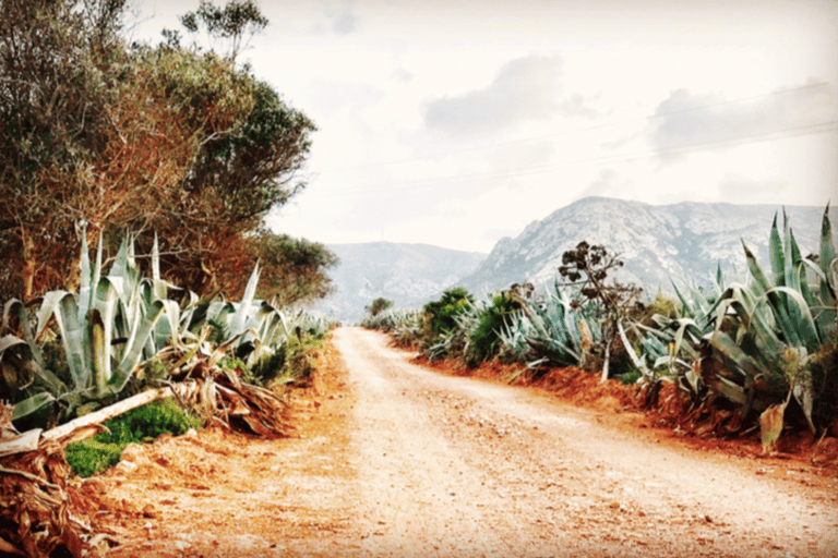 Cabo de Gata: 4x4 Tour Genoveses, Monsul och guldgruvorna