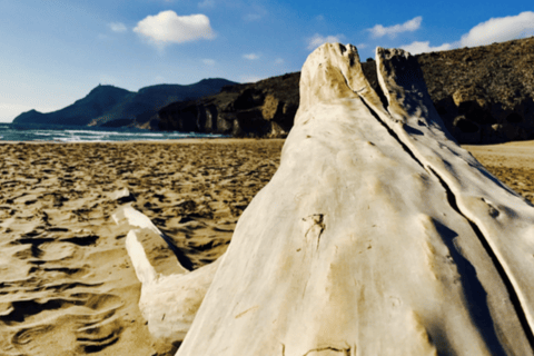 Cabo de Gata: 4x4 Tour Genoveses, Monsul och guldgruvorna