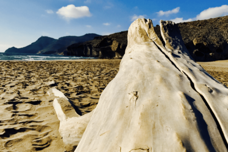 Cabo de Gata: 4x4 Tour Genoveses, Monsul och guldgruvorna