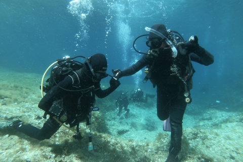 St. Paul's Bay: Scuba Diver Kurs 1 Tag
