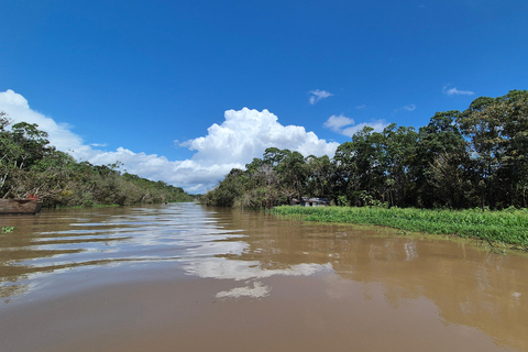 Manaus: Private Amazon Sunset and Night Tour by Speedboat