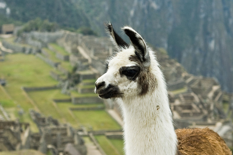 Private Tour Cusco & Machu Picchu 7 days 6 nights