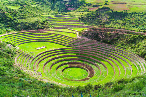 || Tour Privado Cusco, Valle Sagrado, Machu Picchu 7 díasTour Privado Cusco & Machu Picchu 7 días 6 noches