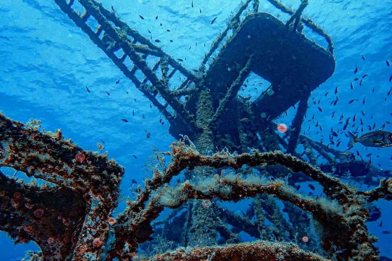 Funchal: Advanced Scuba Diving Afonso Cerqueira Wrak