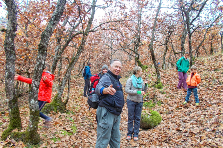 Athens: 2 Days in Meteora with 2 Guided Tours and Hotel Stay 3-Star Hotel Option