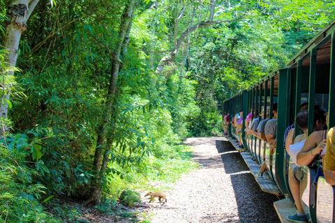 Iguazu Falls Private Day Trip from Buenos Aires Iguazu Day Trip: Argentinian Side