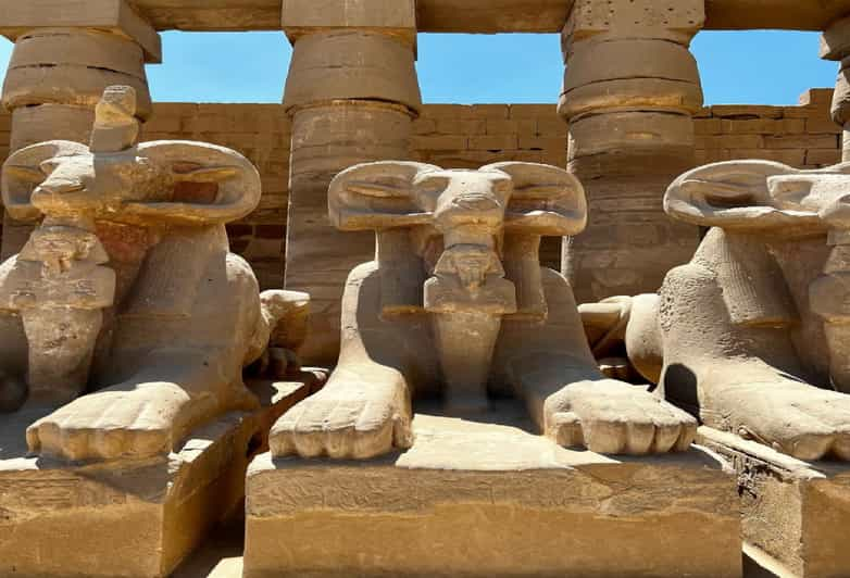 Private Day Trip To Luxor From Marsa Alam GetYourGuide