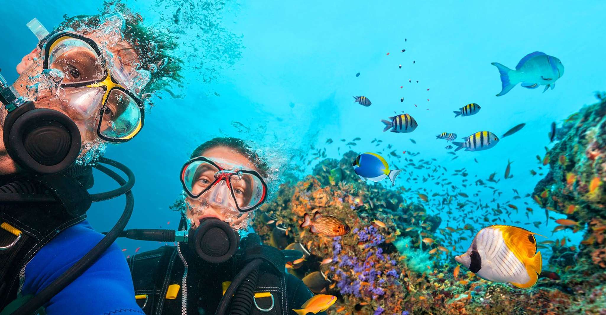 Bodrum, Scuba Diving Briefing & Diving Experience - Hizvo