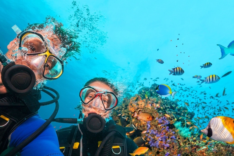 Bodrum : expérience de plongée sous-marineExpérience de plongée sous-marine à Bodrum - Prise en charge et retour à l'hôtel