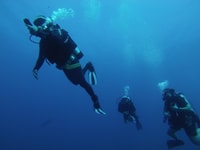 Bodrum, séance d'information sur la plongée sous-marine et expérience de plongée - Hizvo