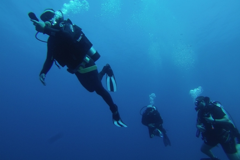 Bodrum: nurkowanie z akwalungiemBodrum Scuba Diving Experience - Odbiór i dowóz do hotelu