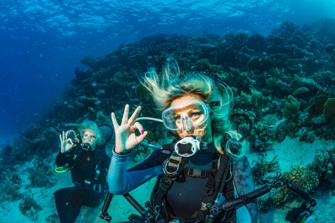 Bodrum: nurkowanie z akwalungiemBodrum Scuba Diving Experience - Odbiór i dowóz do hotelu