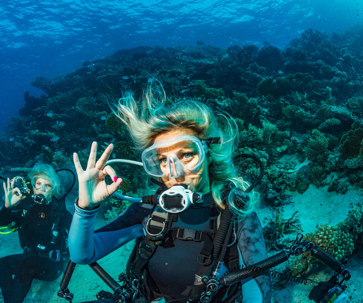 Bodrum: Scuba Diving Briefing & Diving Experience