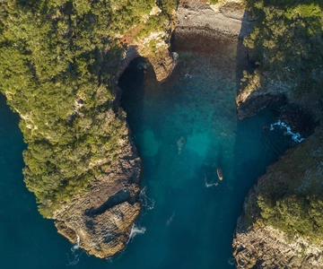 Desde Tairua Crucero panorámico guiado por la Península de Coromandel