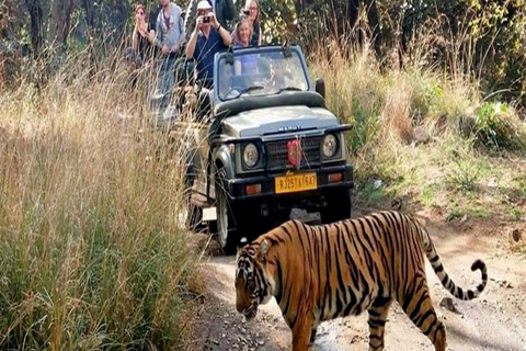 Delhi: Private 5 Days Golden Triangle Tour With Tiger SafariThis Option All inclusive