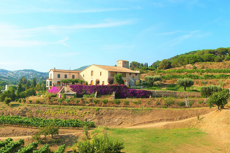 Van Barcelona: Alella Wine Tour per elektrische fiets