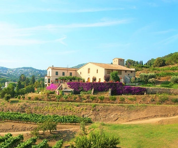 From Barcelona: Private Alella Wine Tour by Electric Bike