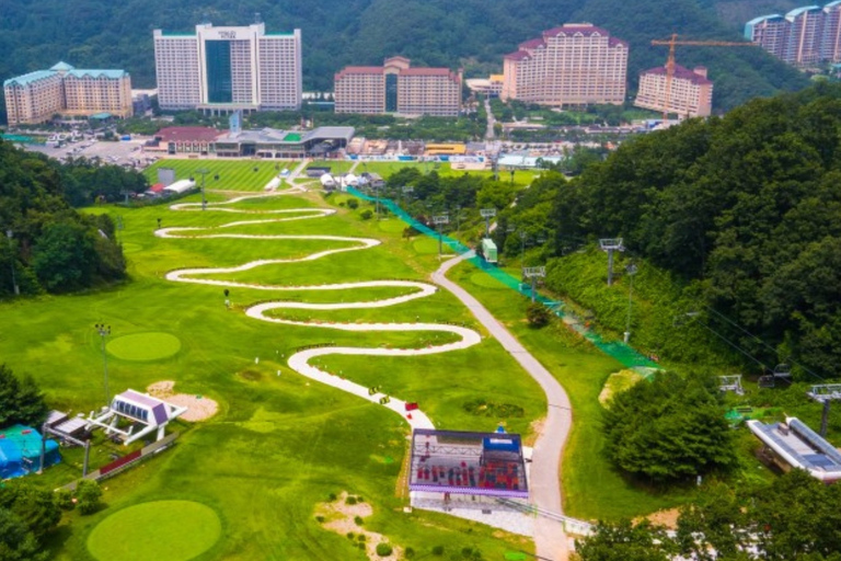 From Seoul: Alpaca Farm with Rail bike/ Luge Racing Railbike Group Tour, meet at Dongdaemun (DDP)