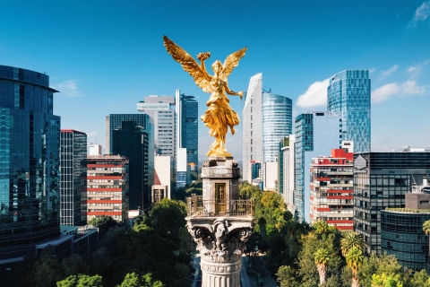 Ciudad de México: Visita privada personalizada con un guía localRecorrido a pie de 8 horas