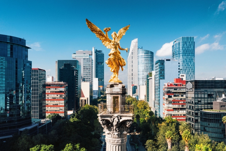 Mexico City: Private custom tour with a local guide 4 Hours Walking Tour