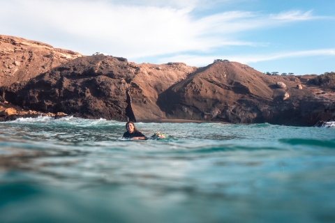 Lerne das Surfen an den weißen Stränden im Süden Fuerteventuras3 Tage Surfkurs an den endlosen Stränden von Fuerte inkl. Abholung