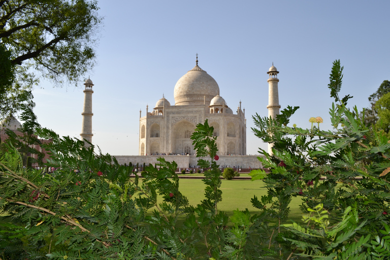 Taj Mahal, Agra: Excursão ao nascer do sol saindo de Nova Délhi de carroCarro + guia + ingressos + almoço