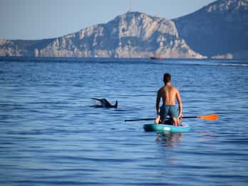 Golfo Aranci: Sup with dolphins, aperitif & photo shoot