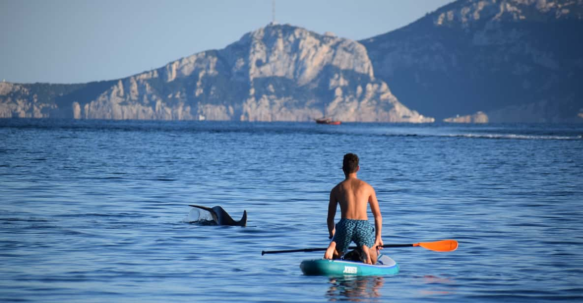 Golfo Aranci Dolphin Watching Sup Paddleboard Tour Getyourguide