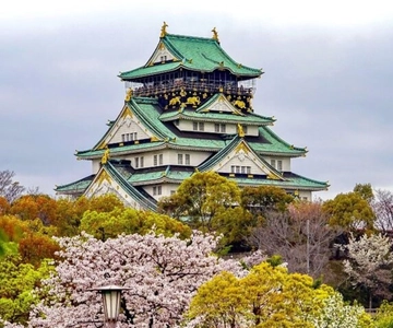Osaka: Private Custom Walking Tour with a Local Guide