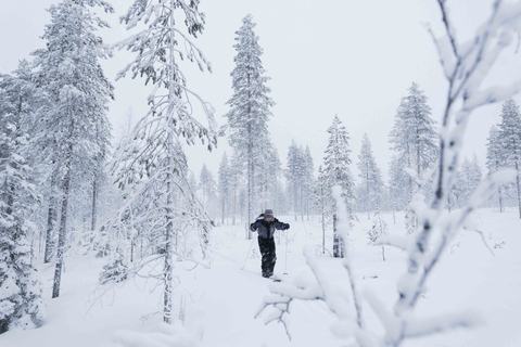 Levi: Backcountry ski-avontuur