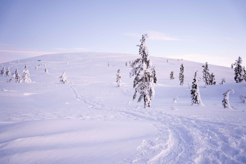 Levi : Aventure de ski dans l'arrière-pays