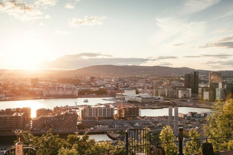 Oslo: Tour privato guidato a piedi da una guida localeTour a piedi di 3 ore