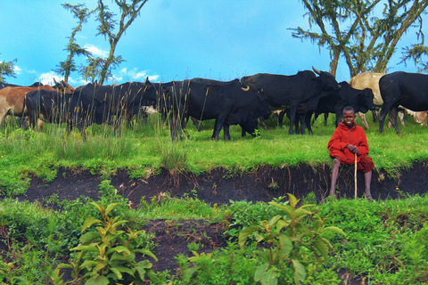 Visite du village de la tribu Masai depuis Nairobi