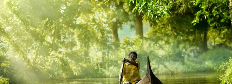 Kerala : Les incontournables du sud de l'Inde en 7 jours