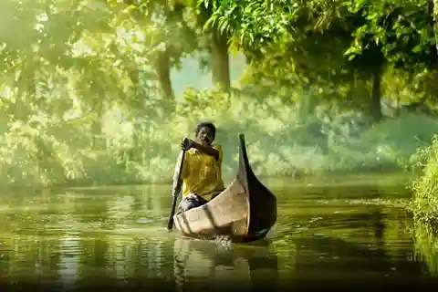 Kochi: Escursioni di 7 giorni nell'India del Sud