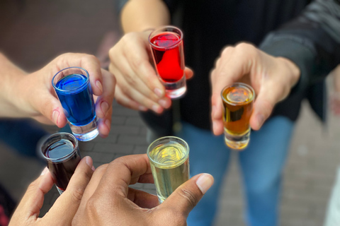 Passeggiata al Rainbow Bar: Sashay attraverso AmsterdamAmsterdam: tour guidato dei pub gay di 2 ore