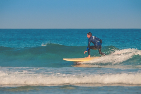Learn to surf on the white beaches in Fuerteventura's south