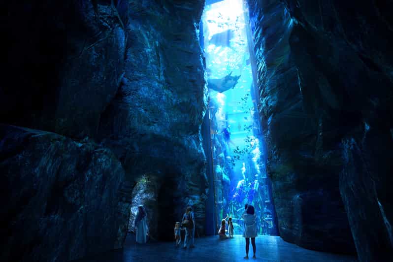 Abu Dhabi: SeaWorld® Yas Island | GetYourGuide